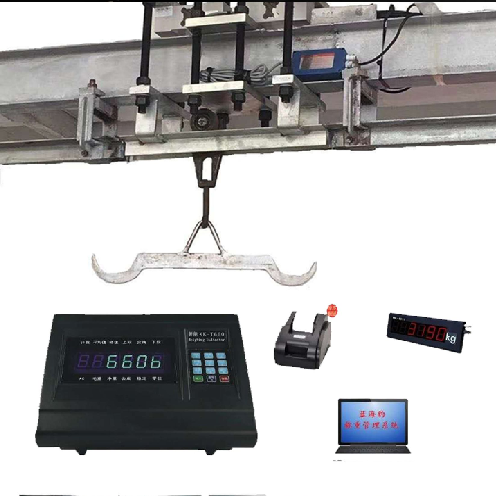 屠宰場軌道秤